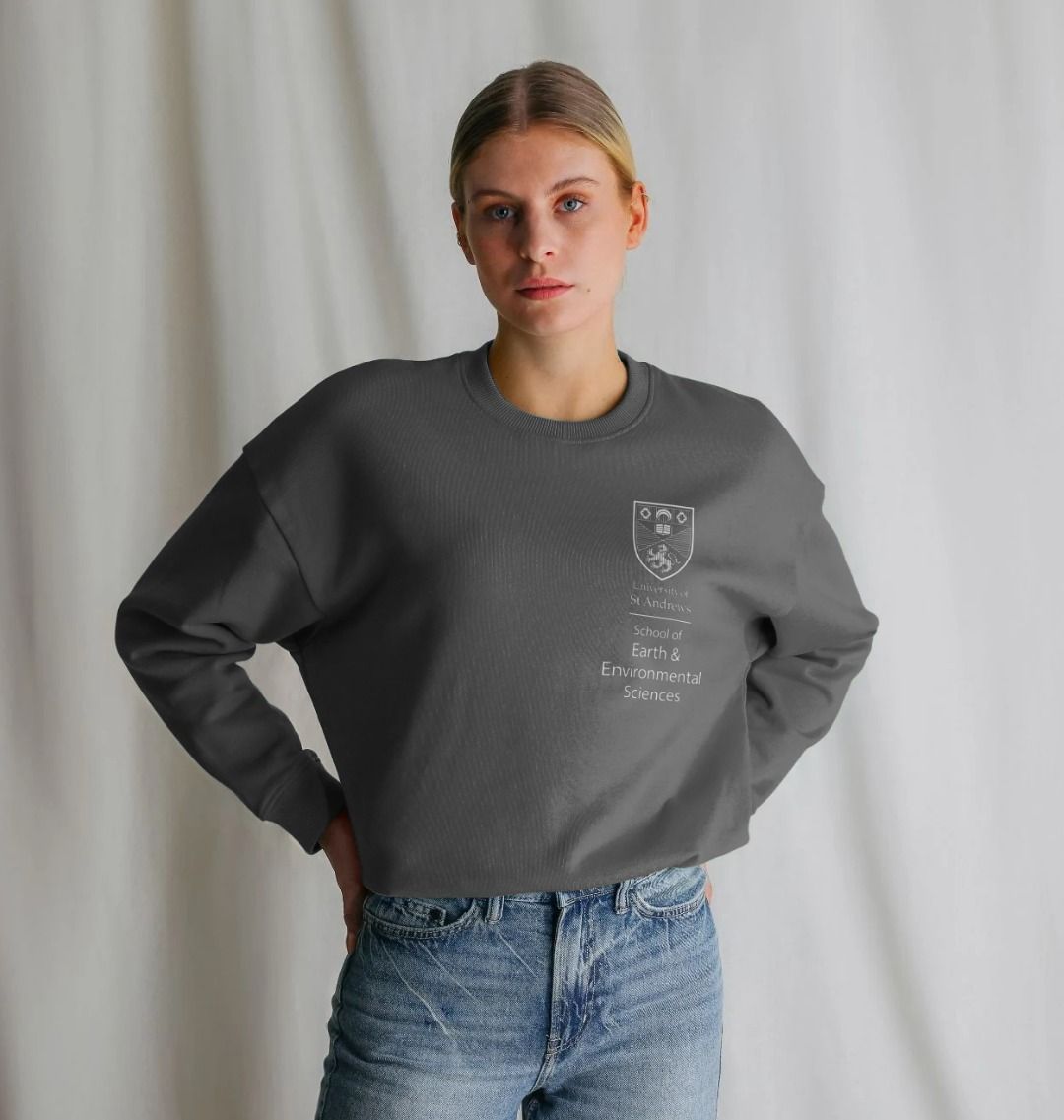 Slate Grey School of Earth & Environmental Sciences Oversized Ladies Sweater