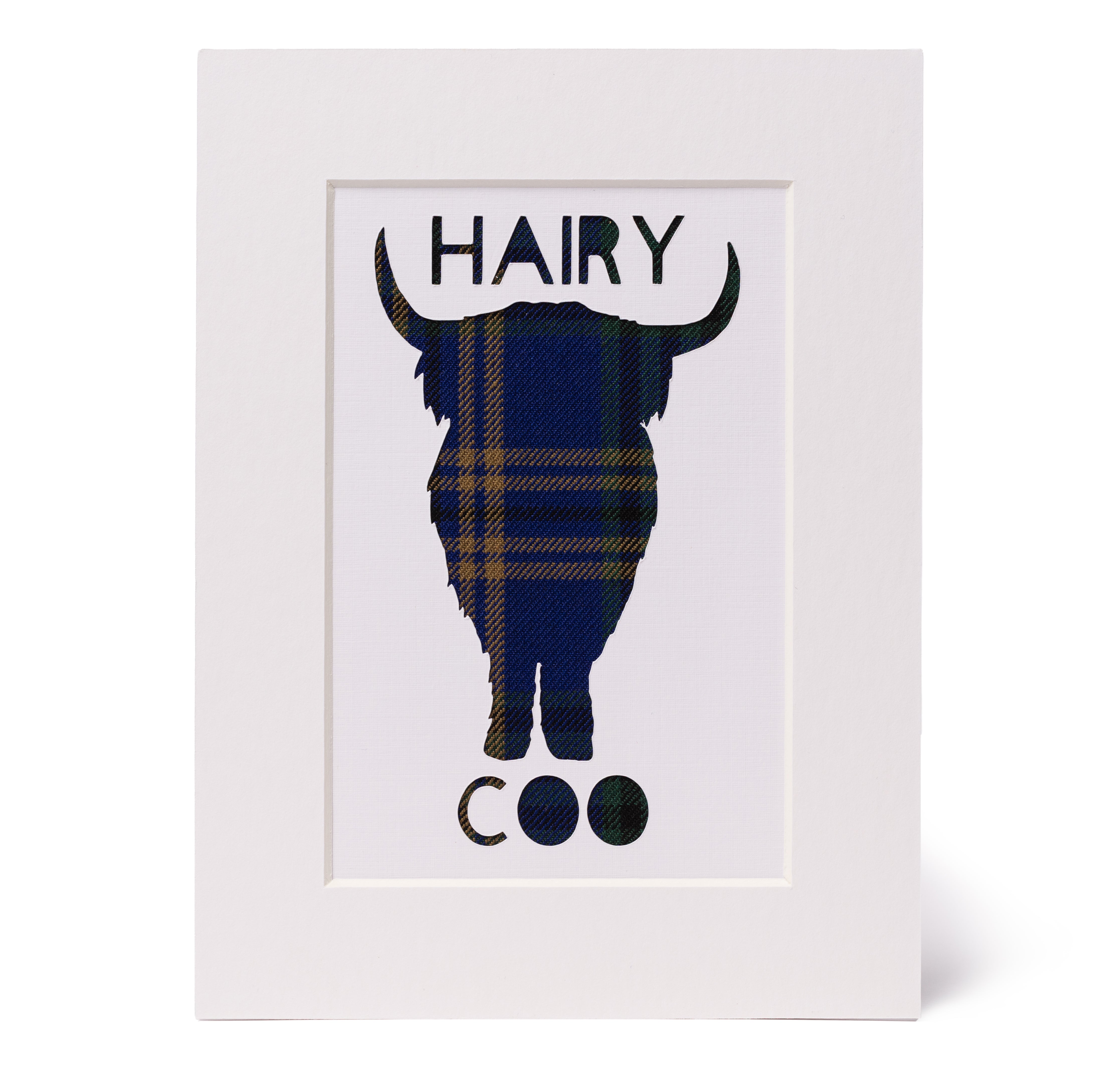 University of St Andrews tartan cow picture 8x6