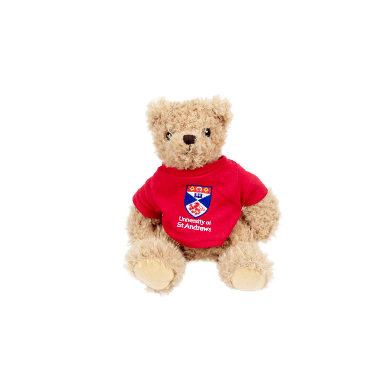 Teddy Bear With T-Shirt