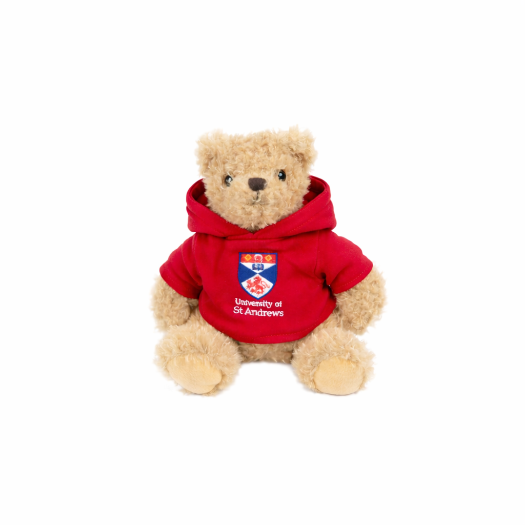 Teddy Bear With Hoody