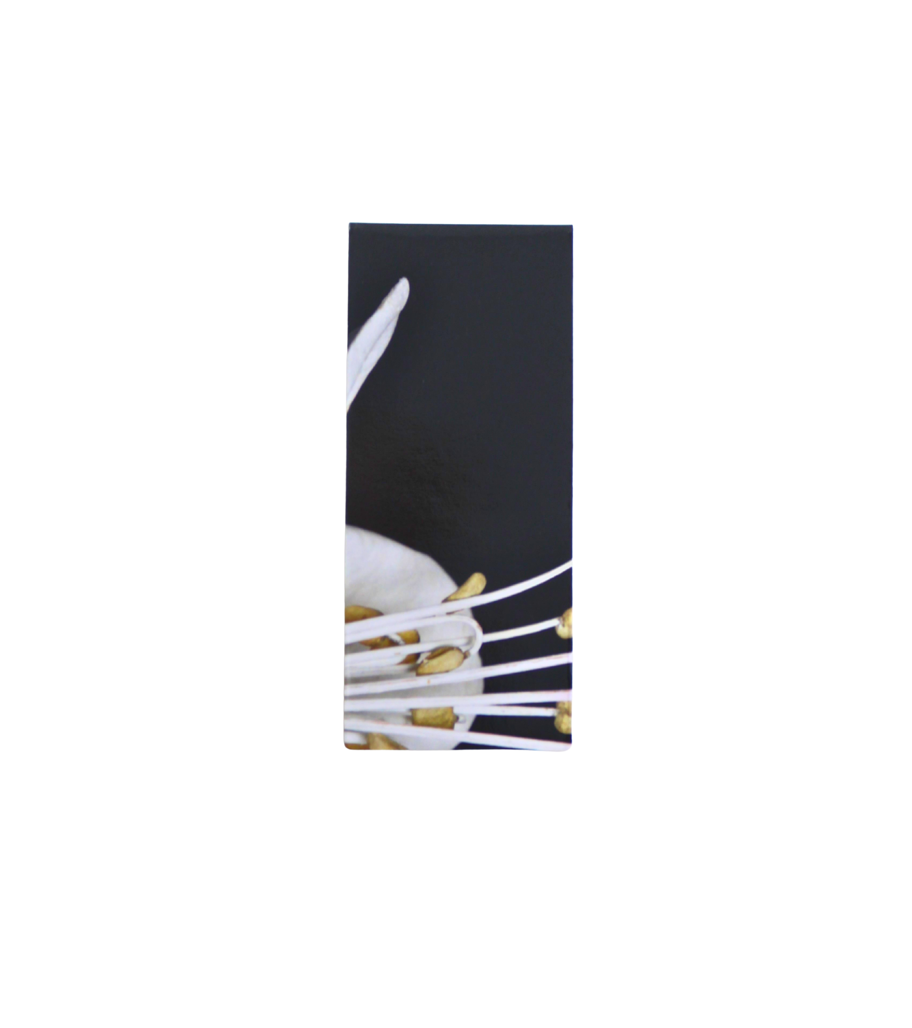Apple Flower Magnetic Bookmark